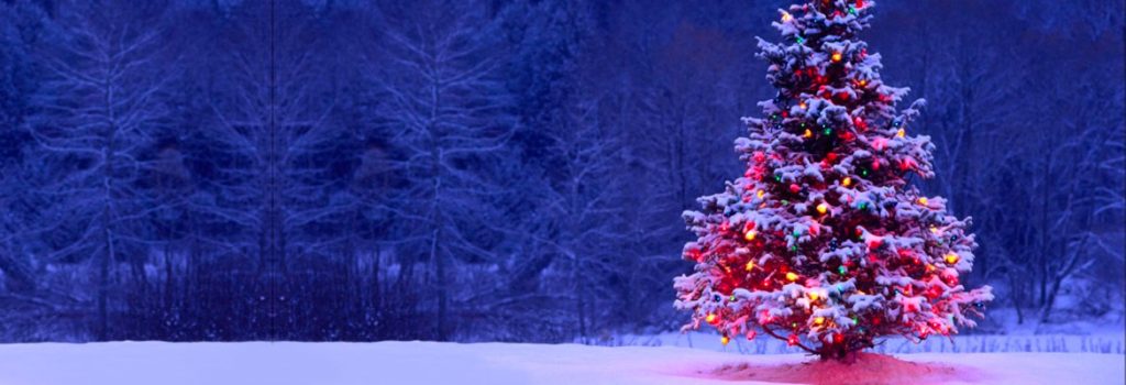 Рождество в Карпатах 2023. Развлечения, лучшие локации, что посмотреть